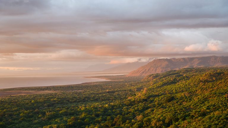 Discover Karatu – The Hidden Gem Between Ngorongoro and Lake Manyara